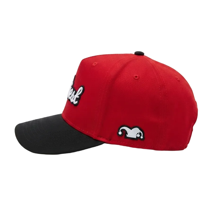 Silliest Logo 3d Puff Snapback