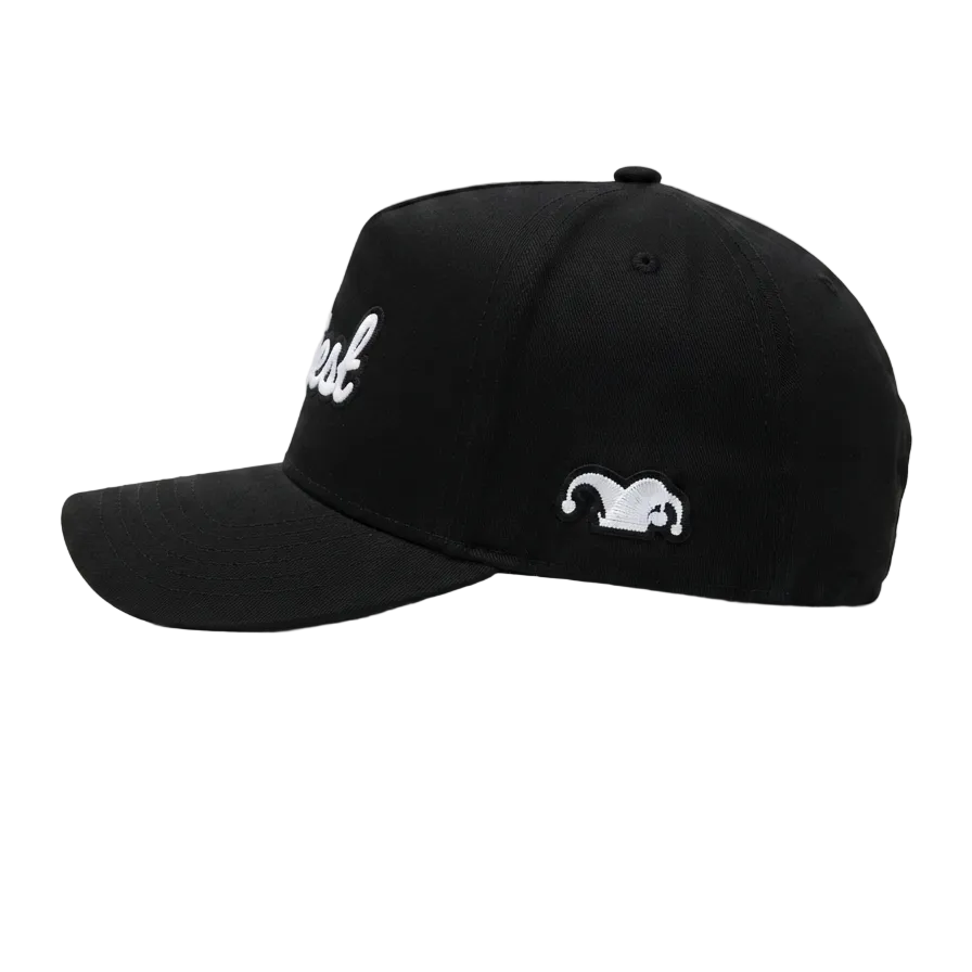 Silliest Logo 3d Puff Snapback